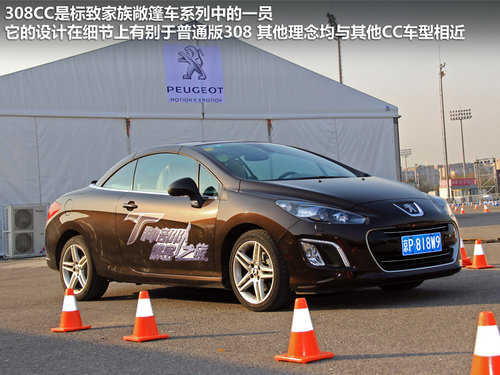 ����r�����T�h �����w����RCZ��308CC