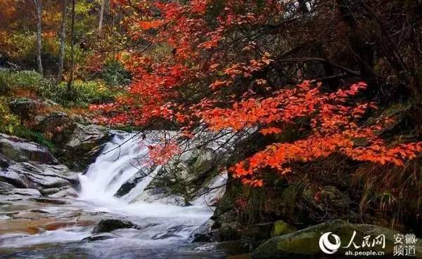 ���\�C����ӭ�����¡�������ʲô�ɫ�ģ�