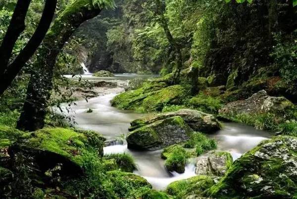 ���\�C����ӭ�����¡�������ʲô�ɫ�ģ�