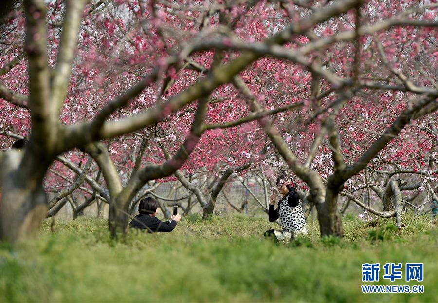 ��ʮ���һ��������L(f��ng)