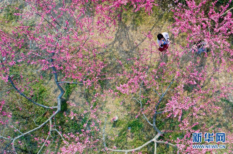 ��ʮ���һ��������L(f��ng)