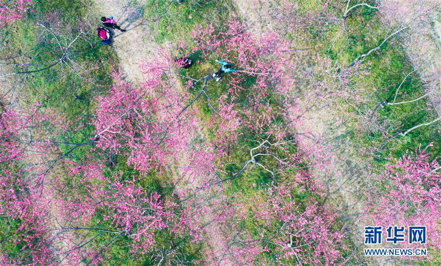 ��ʮ���һ��������L(f��ng)