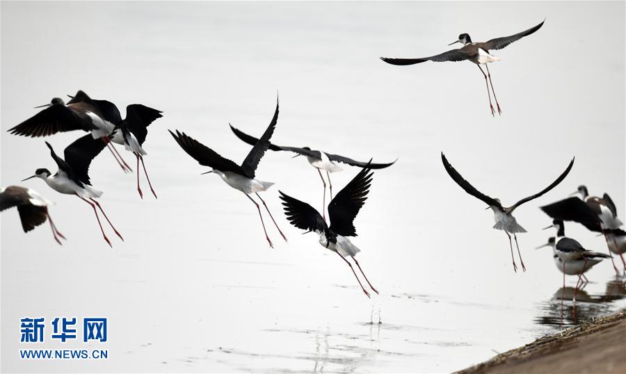 ���ջ���ˮ�T�� ǧ��ˮ���f핲�