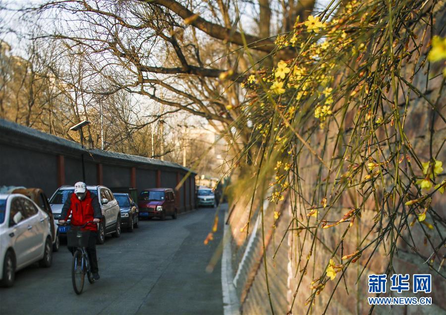 ���������4�����ڴ�����