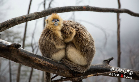 ׌�������������Ӱ�Ј�