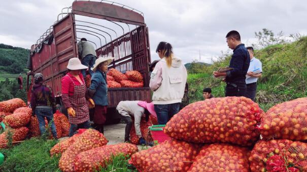 �P����֧��950�fԪ���a�I�����^��I�����Y���J������r������