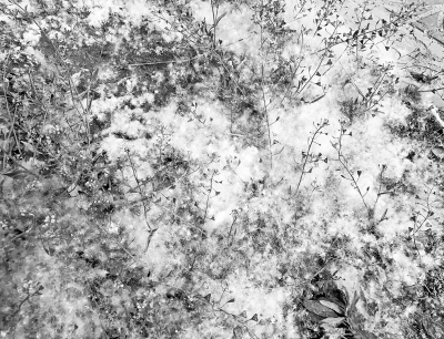 �ֵ����������M���w�ļ���(ji��) ���ң�Ŀǰ߀���ܸ���