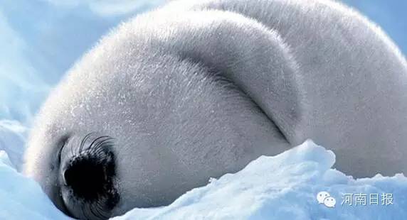 �����������ڃ�!�@Щ�����l��ȫ��?���y�y