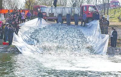 ����_չ�O�I�YԴ��ֳ������� 10�fβ�~��ɳ�ӡ����ҡ�