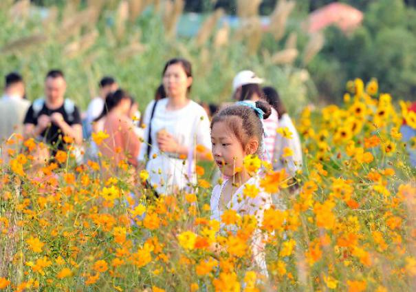 ���A���_�M���S������o��(sh��)����ǰ���p��������ʮ�����p������ڡ��DƬ�����Lɳ���ȫý�wӛ�� �R�ı� �z