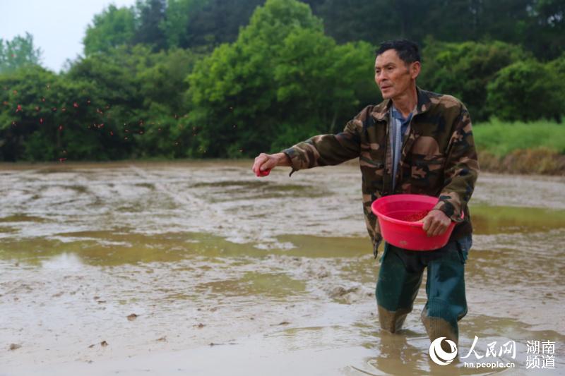 �r�������g���N��