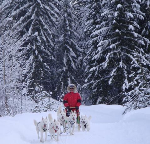 7���ط������w������ı�ѩ�澉