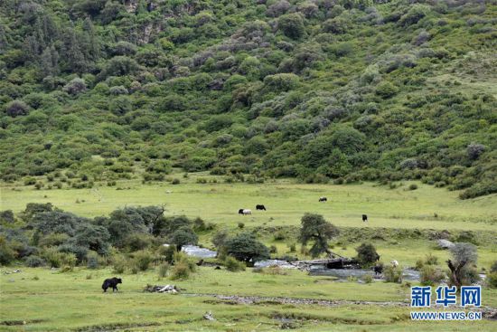 �������Ї�����1�����ظ�ؕ�ϣ��B�����|��δ�R