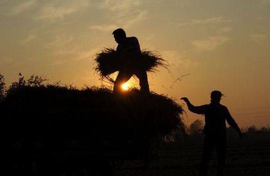 �峣�������������Σ�C:�����L�ھ����L�U����