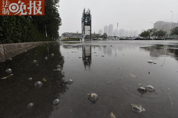 #��������Ӎ#(ӛ�������� �zӰ����)��������ˮ����ĭ�Ć��}��֮ǰý�w����Q���Ќ��ұ�ʾ������������L�r�g�����꣬·��ضȺܸߡ�������֮�󣬵����Ͼ͕��К��w����������͕��К��ݣ���������ĭ���䌍�����B��Ƭ���؄e���Ě��ݣ���һͣ�͛]���ˡ�Ȼ���������������^���У�ӛ�����p܉�K�cվ����һ�K��δ����܇�뉺�^�ķeˮ�п�����ÿ����ˮ�Ώ��Ϸ���ľ���۵���eˮ�r���͕������S���̖�Ě��ݣ�ֱ����2-3�������� �����Һܲ�����©���ƺ�ˮ�|����һ����ճ��ԡ�ͬ�rӛ�����Ĕz��Ƭ�r��һЩˮ��մ����Ƥ�ϣ����зN�����ĸ��X��