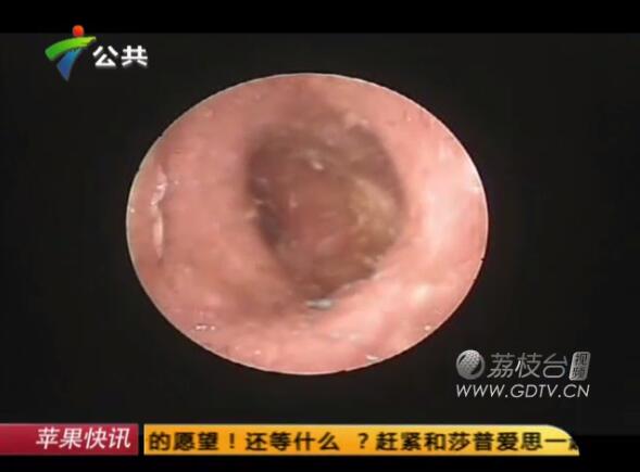 �@�֣����Ӷ���(n��i)�L(zh��ng)�M��ɫ���x��˺ҧ����ʹ��������