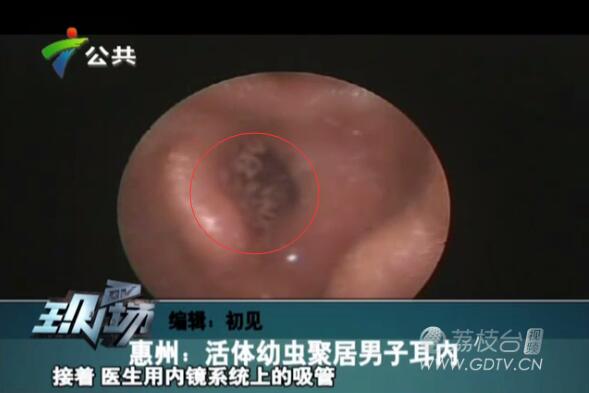 �@�֣����Ӷ���(n��i)�L(zh��ng)�M��ɫ���x��˺ҧ����ʹ��������