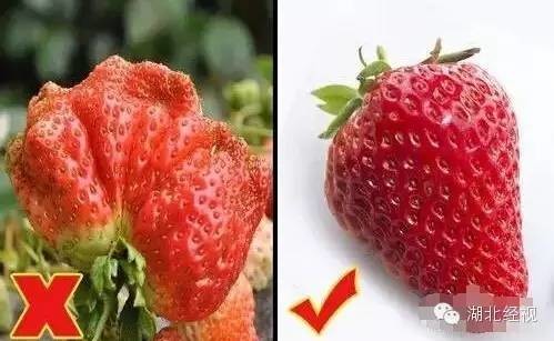 ��ݮ��ժ�@��؈ā������͵͵��ˎ �����u�o�ο�(�D)5