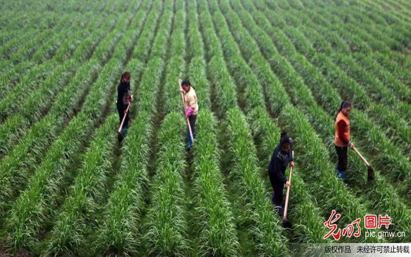 ���³��B ����Փ�����O�a�I��Ⱥ�����r�I���¸ߵ�