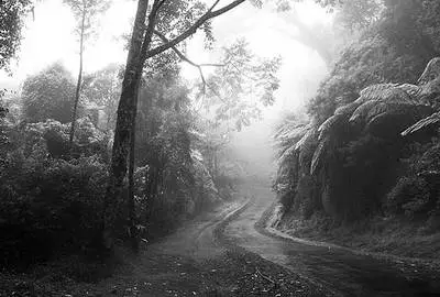 �������ޑ��ٰ��Y��ħ �����R