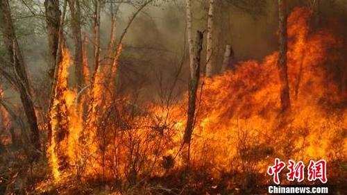 ���ɹŴ��d���X�ߵ��ֈ������Ͷ��4000�˓��