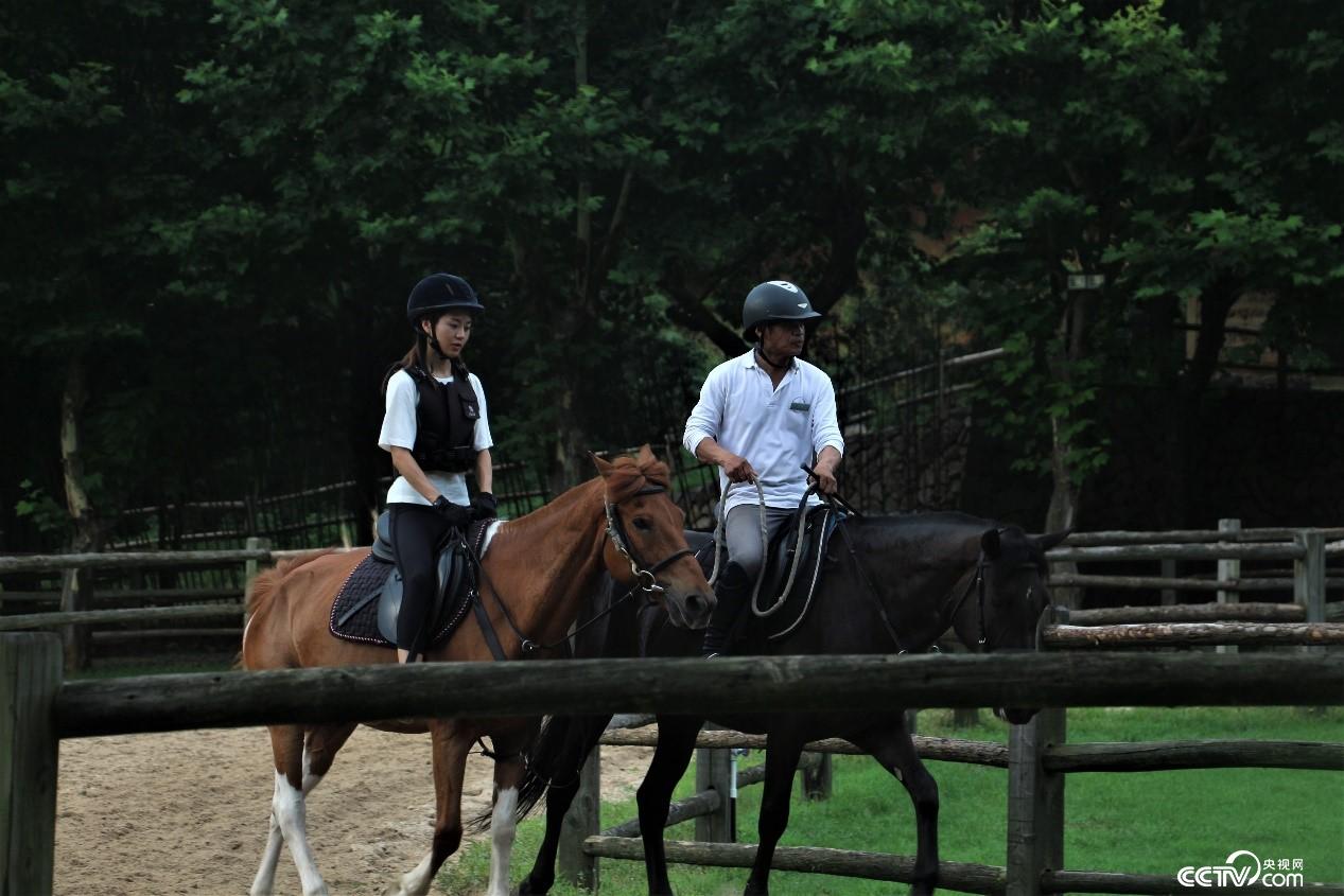 Ī��ɽ悸߶˾�Ʒ���޵ĺ��ą^������ҕ�W ӛ�ߺδ��z��