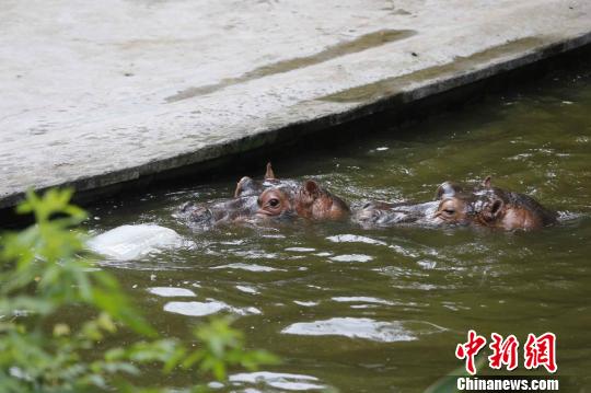 �����{�������ϡ������K�����ʽ�������