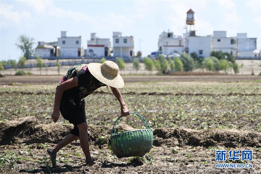 ������(x��)��ƽ�r(sh��)���Ї�(gu��)��ɫ���(hu��)���x˼��ָ���¡����r(sh��)����������ƪ�¡���(x��)��ƽ����(sh��)ӛ�P(gu��n)���¡��D�Ļ���(d��ng)����1��һ�О������񡪡�����ȫ��(gu��)��Ѵ�Ȟ�(z��i)ȡ���A�����ش����֮�r(sh��)