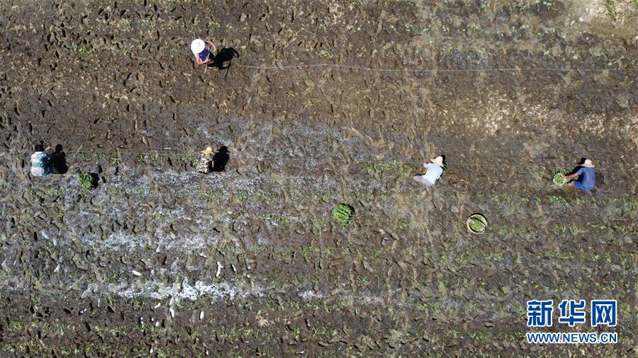 ������(x��)��ƽ�r(sh��)���Ї�(gu��)��ɫ���(hu��)���x˼��ָ���¡����r(sh��)����������ƪ�¡���(x��)��ƽ����(sh��)ӛ�P(gu��n)���¡��D�Ļ���(d��ng)����8��һ�О������񡪡�����ȫ��(gu��)��Ѵ�Ȟ�(z��i)ȡ���A�����ش����֮�r(sh��)