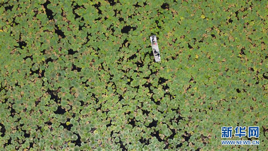 ������(x��)��ƽ�r(sh��)���Ї�(gu��)��ɫ���(hu��)���x˼��ָ���¡����r(sh��)����������ƪ�¡���(x��)��ƽ����(sh��)ӛ�P(gu��n)���¡��D�Ļ���(d��ng)����12��һ�О������񡪡�����ȫ��(gu��)��Ѵ�Ȟ�(z��i)ȡ���A�����ش����֮�r(sh��)