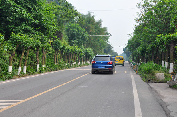 ·  �d�����l�S�ӵ���������