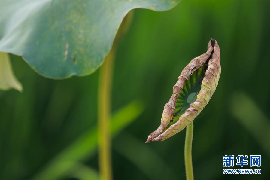 #��ҕ���X����1��һ�~֪��