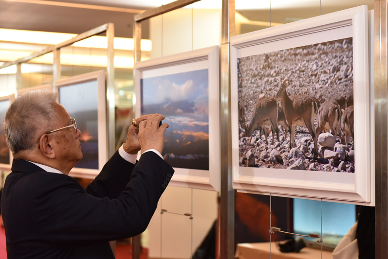 �����������Ļ��z�a����ˇ�gչ���״����M̩��